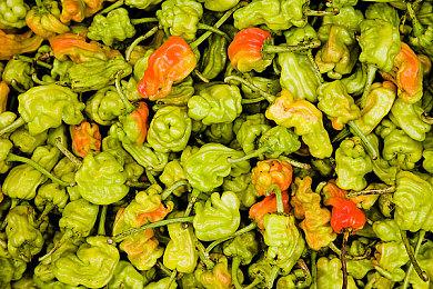 《最终幻想7：重制版Intergrade》Switch 2版截图